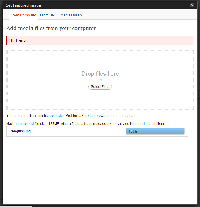 wordpress image upload error
